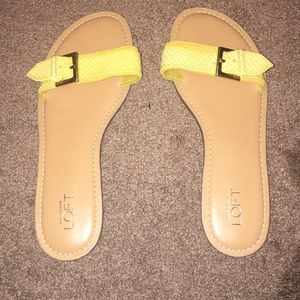 Ann Taylor Flip Flops